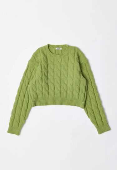 Green Sweater Apple